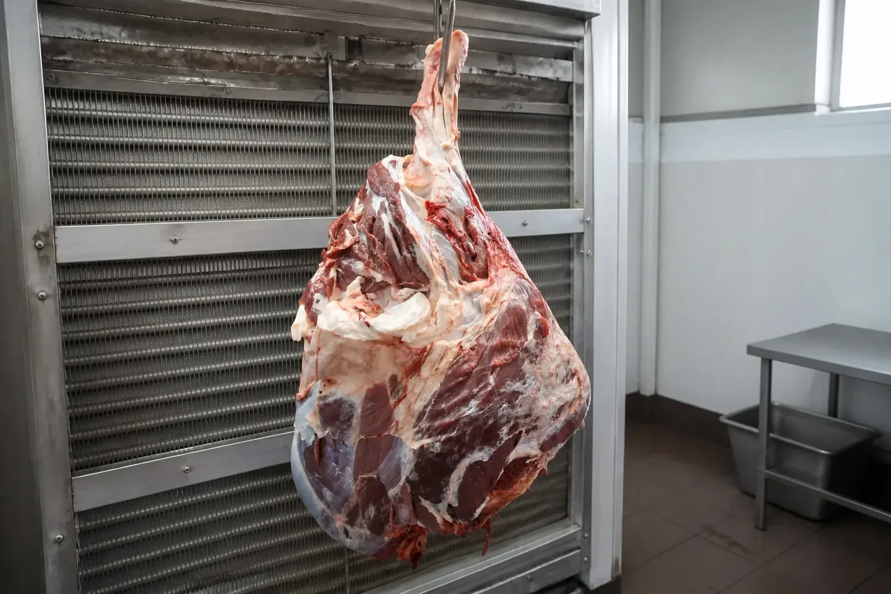 گوشت مارکت همشهری 2