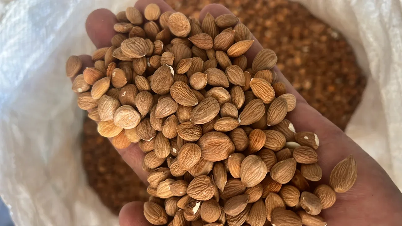 شرکت زرین تجارت اریانا کهن (بیژن رنجبرپور) 4