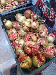 آبمیوه شانار 5