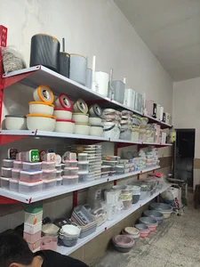 پلاسکو علیدوستی