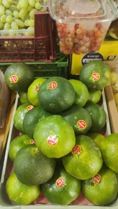 میوه فروشی شاه بلوط 5