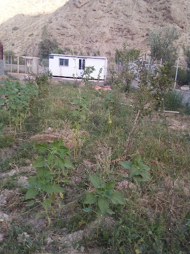 روستای سرخدشت