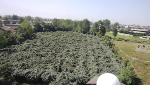 باغ اسدی