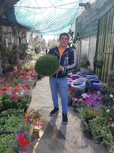 صنعت گل وگیاه کِشاری