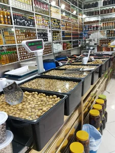 زیتون هانی