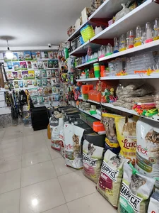 پت شاپ کوکاتیل