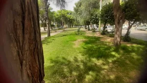 پارک جوادالائمه 2