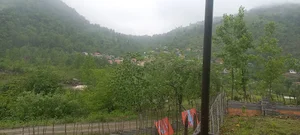 شاهکلا بزرگ