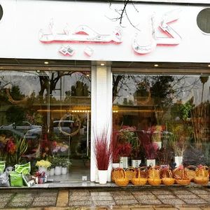 گل مجید