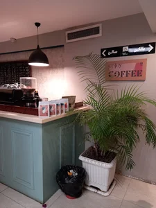 Book City Cafe