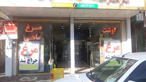 هایپر پروتیئن البرز