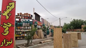 حصیر نیزار