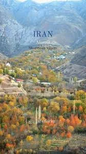Location: shurestan village , روستای شورستان الموت شرقی,  -------------------------------------, ©️ #Yadollah_jafari,  -------------------------------------, #shurestan #shurestan_village  #Alamut ...