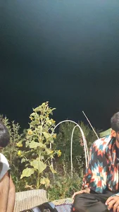 باغ حسین آقا