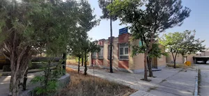 دانشگاه پروفسور حسابی