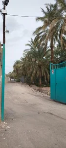 اقامتگاه سنتی بومگردی ترنج 4