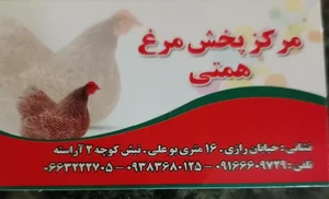عمده فروشی مرغ آرین 3