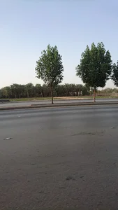 Ulaishah