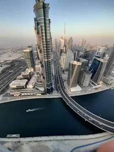كلينيک دامپزشكی دكتر امین قصرفخری