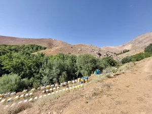 ایستگاه پرورش و تلقیح مصنوعی ملکه زنبورعسل ایرانیان