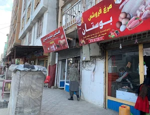 مرغ فروشی بوستان