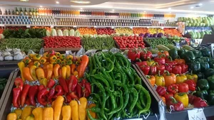 قیزیل آلما 2