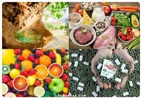 Organic Sara ارگانیک سرا