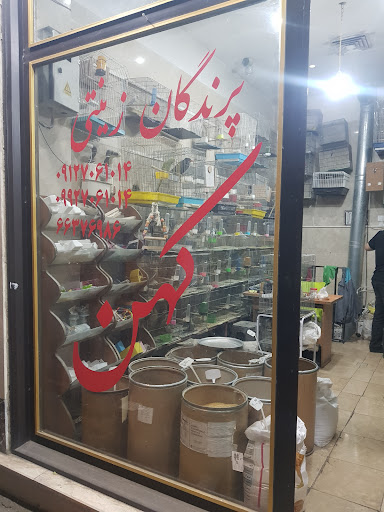 پرندگان زینتی کهن