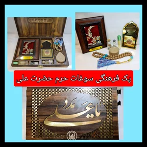 نجف7