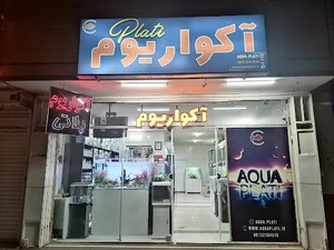 آکواریوم پلاتی