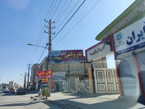 کارواش گلها 3