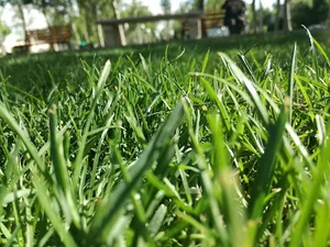 بوستان ۱۵ خرداد