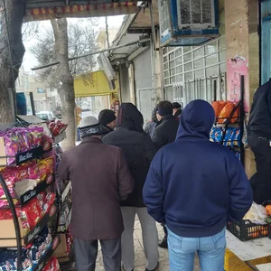 بربری محبی