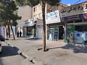 دیاگ مرکزی فردیس