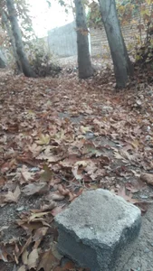 جای خنک