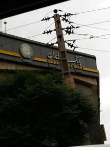 بانک ملی شعبه مجتمع اداری 2