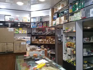 الکترونیک حسینی