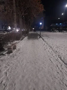 پارک ارتش