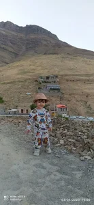 گروه معماری آویر