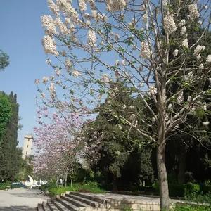 باغ ملی-bagh meli shiraz