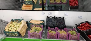میوه و تره‌بار نورا 3