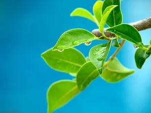 آموزشگاه بهداشت اصناف پارس