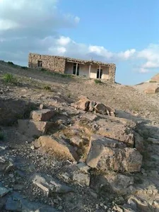 حضرت شعیب نبی