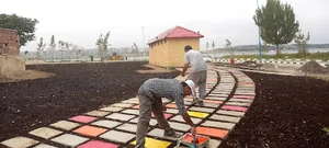 سرویس بهداشتی