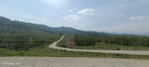 دفتر فنی و مهندسی نوین سازه شفت