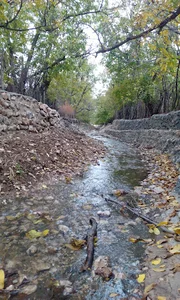 کوچه باغ بهرام فتحی