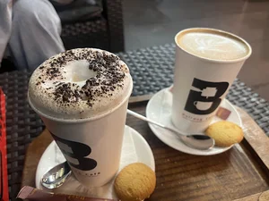 لانژ ساحلی بولداگ