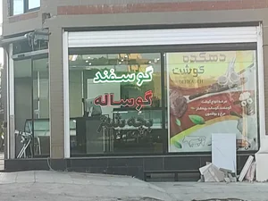 مرغ و ماهی نطقی مقدم 2