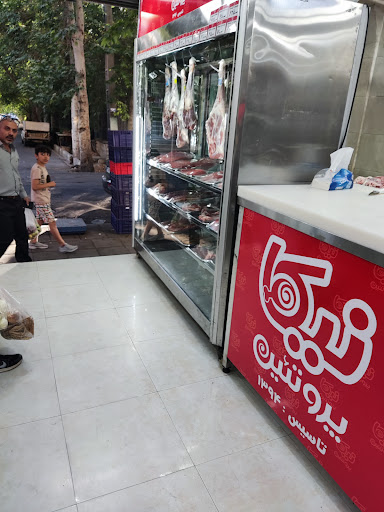 نیکا پروتئین اصلی