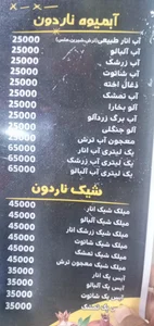 آبمیوه بستنی ناردون 5